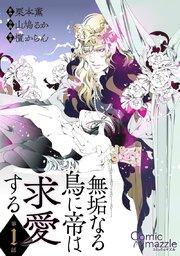書影