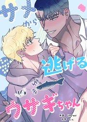 書影