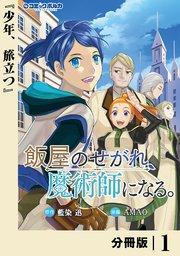 飯屋のせがれ、魔術師になる。【分冊版】1