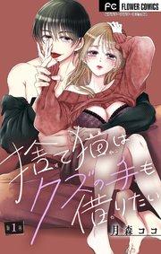 書影