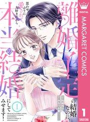 離婚予定の結婚なのに、思わせぶりに愛されて、大好きだから本当の結婚にしてみせます! 1