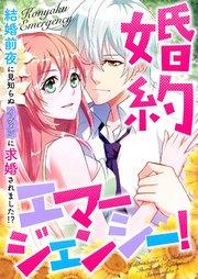 婚約エマージェンシー!~結婚前夜に見知らぬイケメンに求婚されました!?(1)