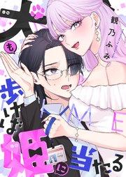 犬も歩けば姫に当たる 1巻