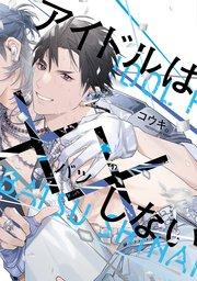 アイドルは××しない【電子限定おまけ付き】【シーモア限定特典付き】