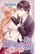 囚われの楔3