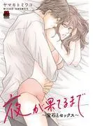 夜が果てるまで~宝石とセックス~ [1巻]