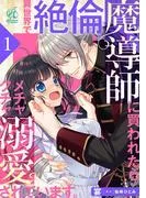 異世界で絶倫魔導師に買われたらメチャクチャ溺愛されています。