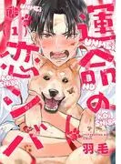 運命の恋シバ [1巻]
