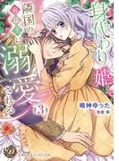 身代わり姫は隣国の勇猛王に溺愛される [3巻]