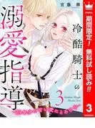 冷酷騎士の溺愛指導 -10年分の甘い愛にとろけ中- [3巻]