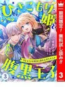 ひきこもり姫と腹黒王子 VSヒミツの巫女と目の上のたんこぶ [3巻]