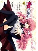 ゼロの使い魔 シュヴァリエ [1巻]