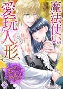 魔法使いの愛玩人形 異世界に落ちたOLは愛と魔力を注がれる03 [1巻]