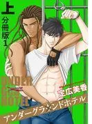 アンダーグラウンドホテル 上巻分冊版 [1巻]