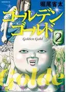 ゴールデンゴールド [2巻]