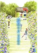 海街diary 真昼の月 [2巻]