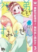 うちの弟どもがすみません [3巻]