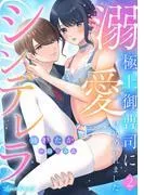 溺愛シンデレラ 極上御曹司に見初められました [1巻]