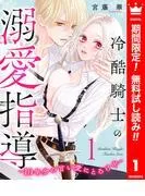 冷酷騎士の溺愛指導 -10年分の甘い愛にとろけ中-