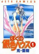 ぼくの銀色ハウス