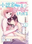 小説家さまは、もんもんしたがる 分冊版 [2巻]