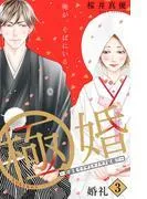 極婚~超溺愛ヤクザとケイヤク結婚!?~ 分冊版 [3巻]