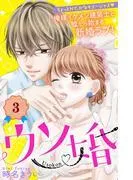 ウソ婚 分冊版 [3巻]
