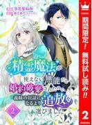 精霊魔法が使えない無能だと婚約破棄されたので、義妹の奴隷になるより追放を選びました [2巻]