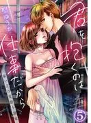 君を抱くのは仕事だから~雇い主は変態小説家~5
