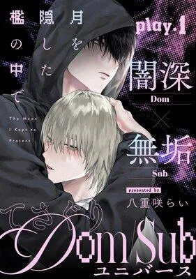 月を隠した檻の中で