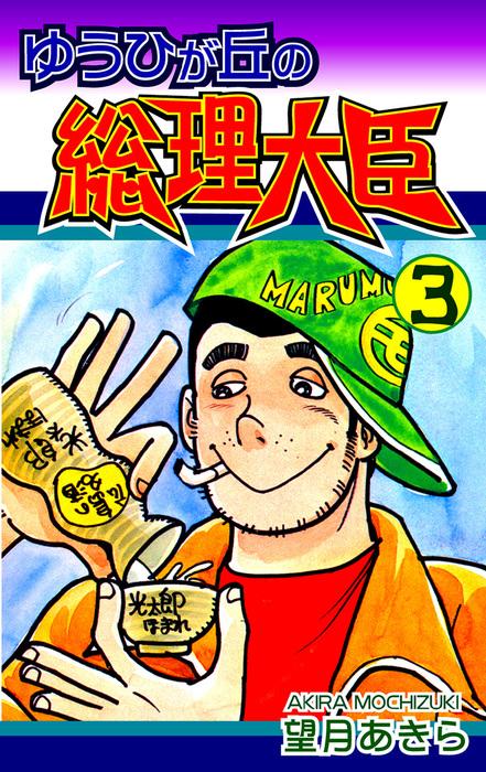 ゆうひが丘の総理大臣 [3巻]