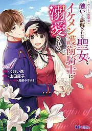 ヴェールの聖女 ~醜いと誤解された聖女、イケメン護衛騎士に溺愛される~ : [1巻]