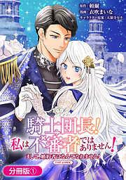 騎士団長! 私は不審者ではありません! まして、婚約者になんてなれません! THE COMIC