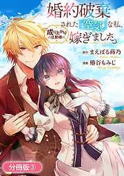 婚約破棄された『空気』な私、成り上がりの旦那様に嫁ぎました。 THE COMIC [3巻]