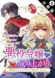 悪役令嬢の成り上がり~隣国で宝石の聖女と呼ばれるまで~ 分冊版 : [3巻]