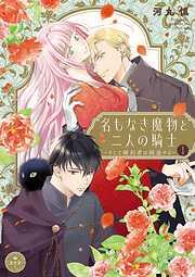 名もなき魔物と二人の騎士~そして婚約者は困惑する~