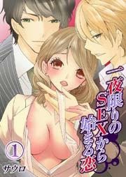 一夜限りのSEXから始まる恋(1)