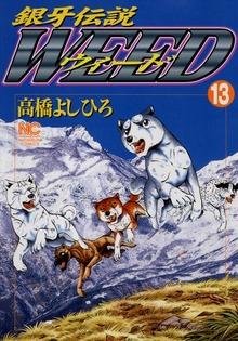 シリーズ画像