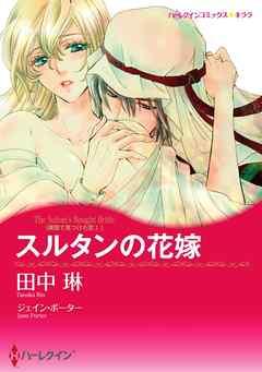 スルタンの花嫁〈異国で見つけた恋 I〉【分冊】