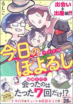 今日のぽよるし ワイド版(分冊版)出会い→出産編!!