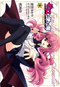 ゼロの使い魔　シュヴァリエ　1巻