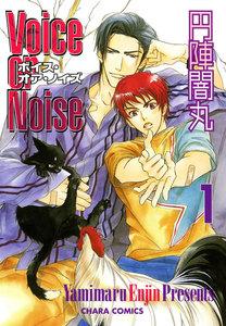 Voice or Noise（１）