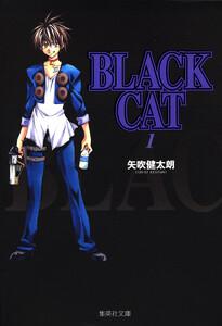 BLACK CAT　1巻