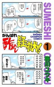 書影