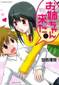 お姉ちゃんが来た　1巻