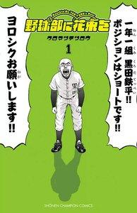 書影
