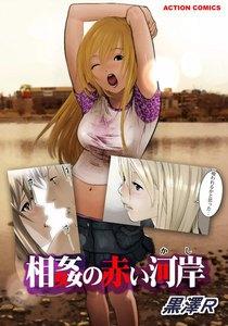 書影