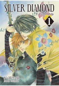 SILVER DIAMOND（１）