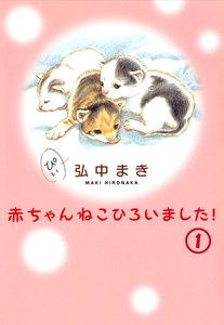 書影