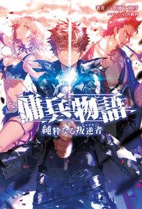 傭兵物語～純粋なる叛逆者～(サーガフォレスト)1